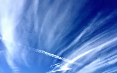 Trump is 100% aware of what is happening with these. Keep that in mind as you breathe it into your lungs.