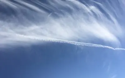 Given up all hope of the Trump Administration fixing this or anything else important to Americans. But hey! The price of eggs are down a little. Sheesh people