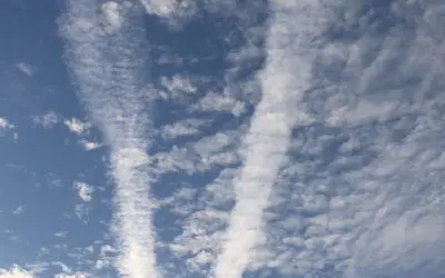 How much more of this abuse this tyranny are you going to take?