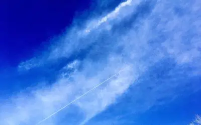 For military personnel you can whistle blow about chemtrail activity under Title 10 U.S.C. 1034. Commercial pilots and personnel may use Whistleblower Act called AIR 21-Whistle Blowers Act which covers pilots, contractors, subcontractors and other personnel. Do the right thing if you or someone else either in the military or commercial air traffic, use these available legal protections. Speak out.