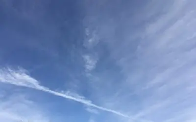 Hello! MAHA and Bobby Kennedy, is anyone home?