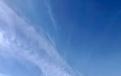 Remember that moment Bobby Kennedy Jr was on Dr Phil? Yep, he said they would get someone on this ( one person?) to get to the bottom of this….crickets