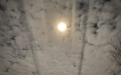 “But when a long train of abuses and usurpations, pursuing invariably the same Object evinces a design to reduce them under absolute Despotism, it is their right, it is their duty, to throw off such Government, and to provide new Guards for their future security”-