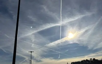 CRIMES AGAINST HUMANITY!!! Dothan, Alabama