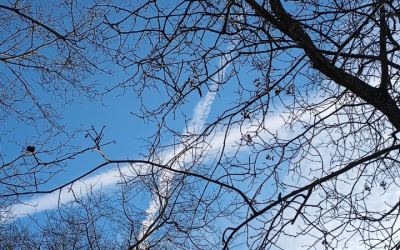 Alabama…X marks the spot