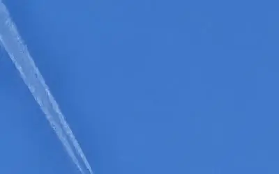 Haven’t had one day without this poison in months!