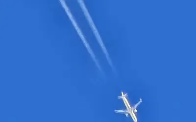 Beautiful today..BUT…they stillcan’t help themselves.