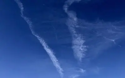 Trump’s aMeRIkA cLoWN woRLd