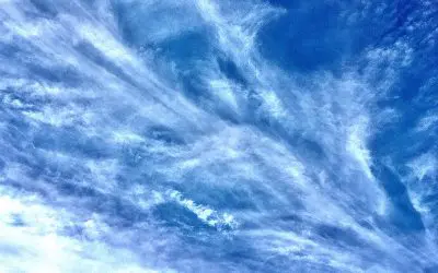 We need a President that puts America and Americans first and foremost. Gets us out of other nation’s business and gets rid of these poisonous skies.