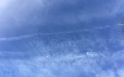 Whatever happened to MAHA. Seems more like HA HA and the jokes are on the taxpayers. Load of crap