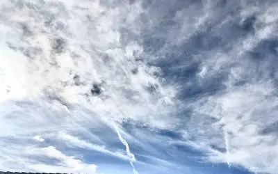 This is just another way the elite predators harm children.