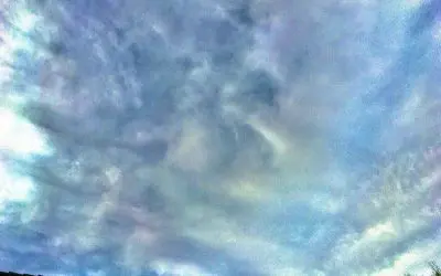 These vermin are too comfortable. Refuse to do any business with them. Shun them. Make them uncomfortable, shout them down berate them, expose them, make these worthless creeps feel the heat.