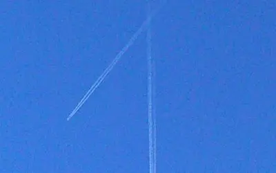 Ass dicks    in  wis