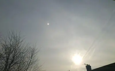 Early morning trails