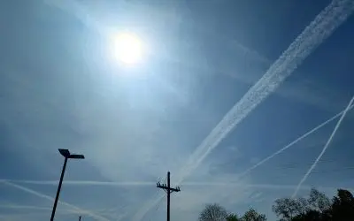 Trinity Lake Livingston