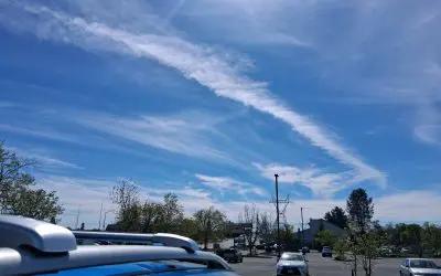 Northern CA March 2026