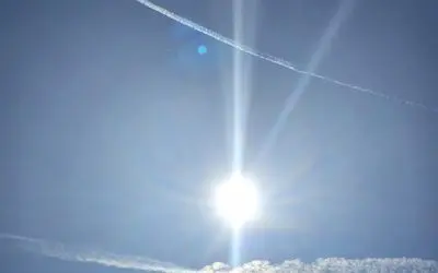 Sure,…totally normal