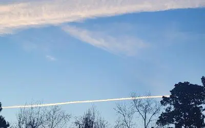 Again in Trinity Texas