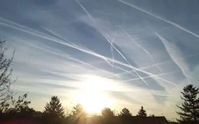 Don’t Look Up! · Serbia, Southeast Europe