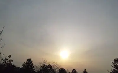 How fake can it get? · Serbia, Southeast Europe