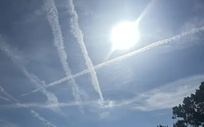 Fredericksburg Texas