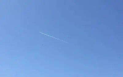 Washington DC pedophile pilots. Leeches on society.