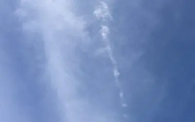 A government without the necessary checks and balances.