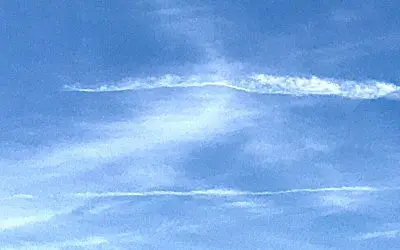 Lee Zeldin of the EPA is unqualified to head the organization. He has zero scientific credentials. He is a political pundit with no understanding of science or engineering. The EPA is a fraudulent organization wasting your money and your health.