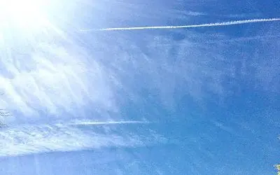 I’ve worked in the Mental Health field for many years. I have absolutely no doubt that Donald Trump is mentally ill.