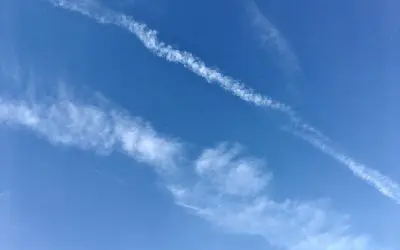 MAGA pilots. This must be MAGA because it’s everywhere.