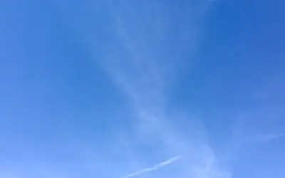 Stupid Trump Administration