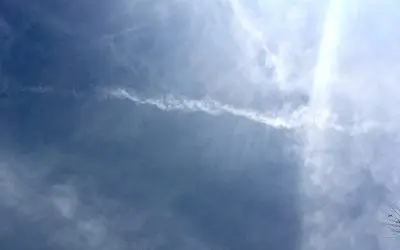 Filthy Pedophile Pilots. Take them into custody.