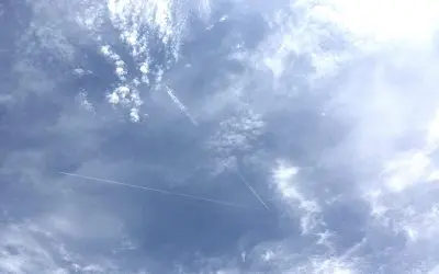 This is what death by government looks like. Governments have killed more humans than any agency on planet Earth.