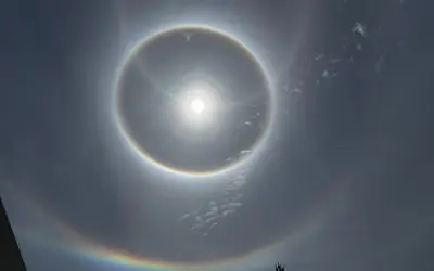 They are making us sick