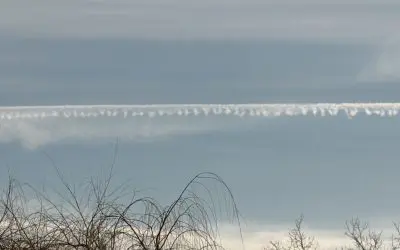 Unhappy Trails in Michigan