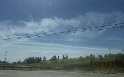 Dangerous in Sebastopol