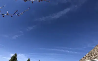 Westfield IN 3/24/26