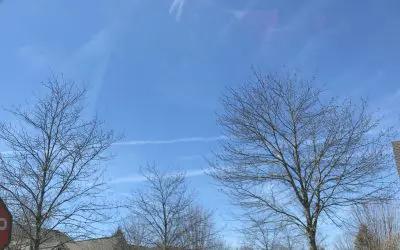 Westfield, IN 3/29/26