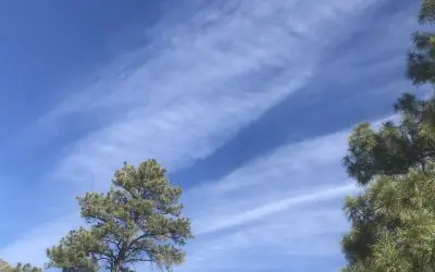 Dewey, Arizona – We Can Drop Bombs All Over The World & Can’t Stop This Abomination?