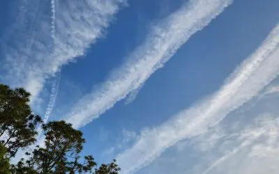 This is not Freaking normal