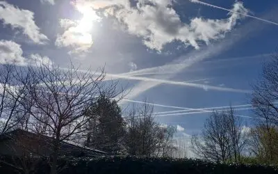 The Netherlands-enough fuel and poison