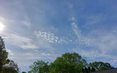 Tennessee corruption