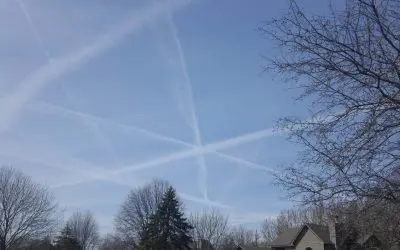 A few years ago, Minnesota