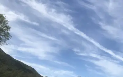 Dewey, Arizona – Spray Baby Spray!!! Where is the EPA, MAHA?