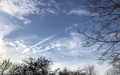 Westfield, IN 46074 Thur 4/9/26