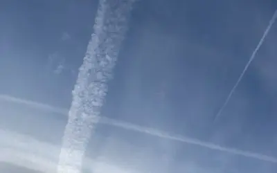 Poison Skys in Wales UK.