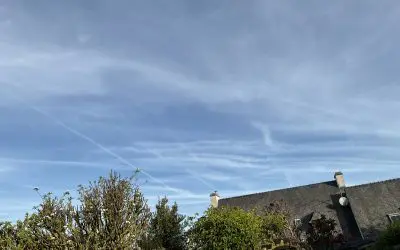 Muel avant /après before/after 2 hours