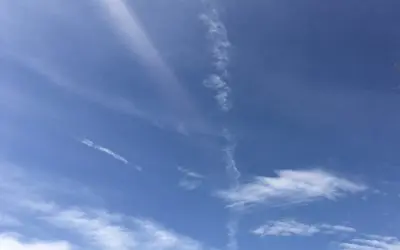 Every day in stupid Arizona. Average I.Q. Is room temp out here.