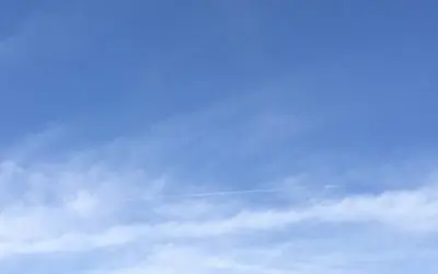 Evil uglies of Arizona