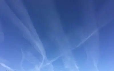 Washington DC is betrayal. Trump abandoned you and your family.